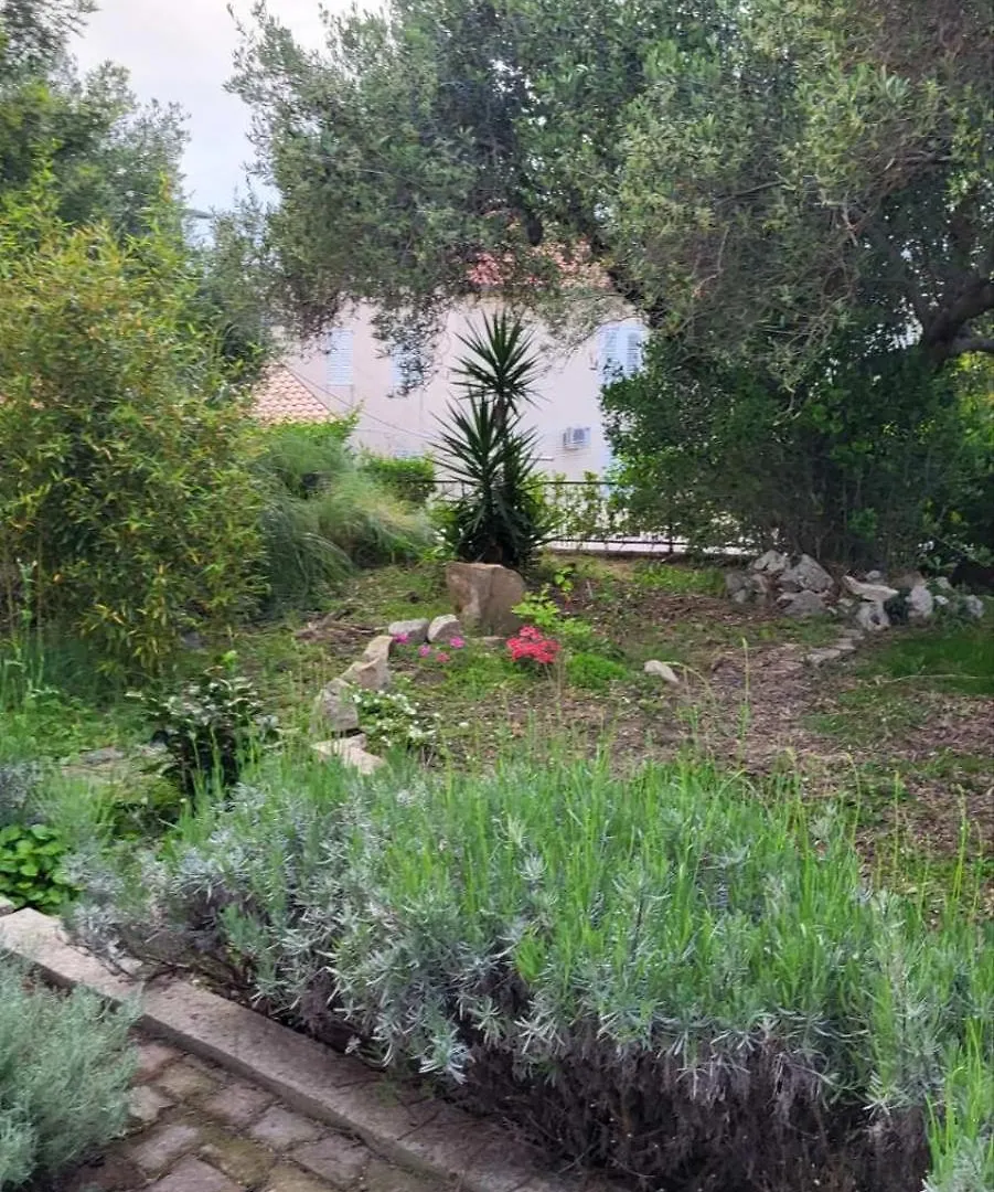 Apartmán Padova 2 Banjol
