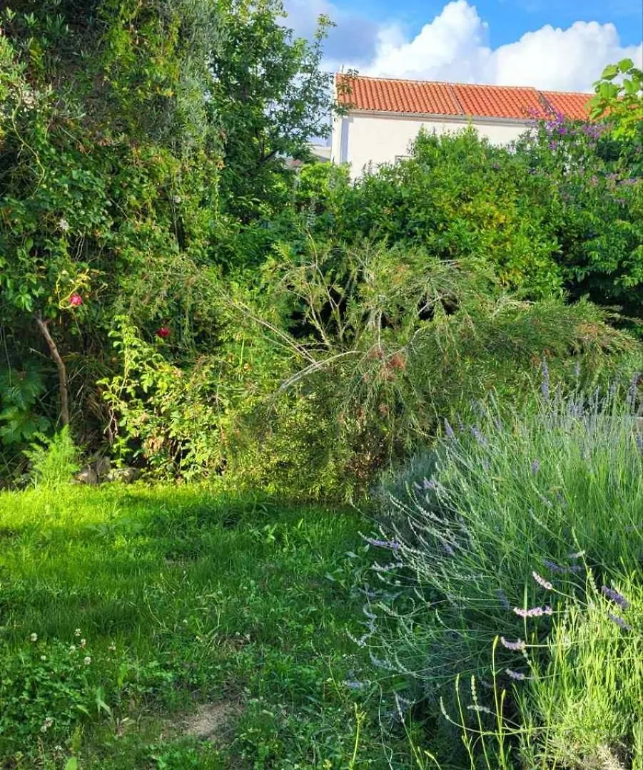 Padova 2 Apartment Banjol Croatia