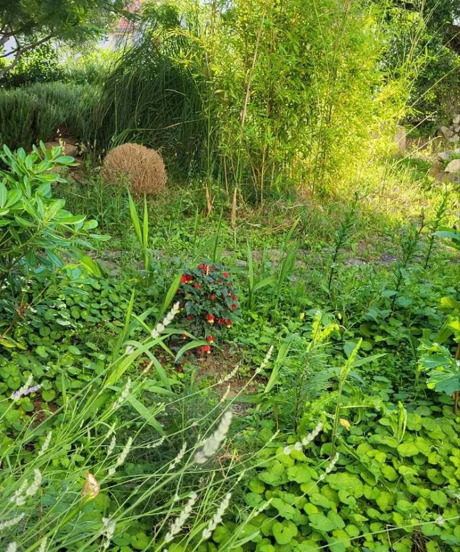 Apartmán Padova 2 Banjol