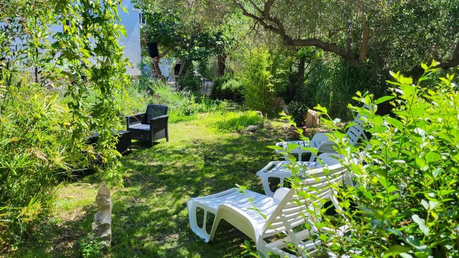 Padova 2 Apartment Banjol Croatia